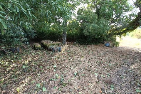 Terra a Nelas, Viseu, Nelas - € 190.000 | Ref: 389250173 - foto 15