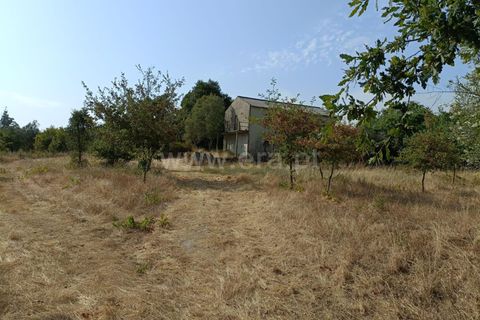 Terra a Nelas, Viseu, Nelas - € 190.000 | Ref: 389250173 - foto 16