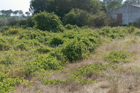 Terra a Nelas, Viseu, Nelas - € 190.000 | Ref: 389250173 - foto 17