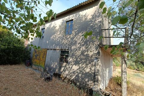 Terra a Nelas, Viseu, Nelas - € 190.000 | Ref: 389250173 - foto 18
