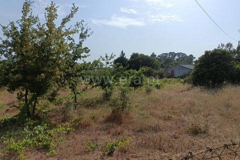 Terra a Nelas, Viseu, Nelas - € 190.000 | Ref: 389250173 - foto 19
