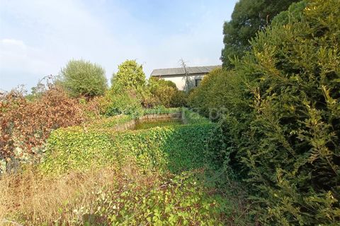 Terra a Nelas, Viseu, Nelas - € 190.000 | Ref: 389250173 - foto 21