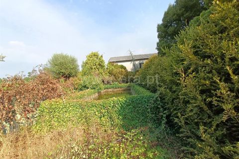 Terra a Nelas, Viseu, Nelas - € 190.000 | Ref: 389250173 - foto 22