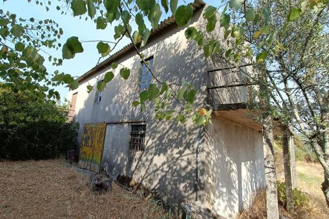 Terra a Nelas, Viseu, Nelas - € 190.000 | Ref: 389250173 - foto 23