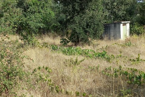 Terra a Nelas, Viseu, Nelas - € 190.000 | Ref: 389250173 - foto 24