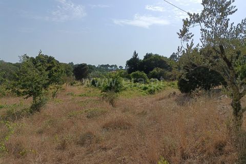 Terra a Nelas, Viseu, Nelas - € 190.000 | Ref: 389250173 - foto 25