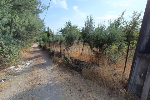 Terra a Nelas, Viseu, Nelas - € 190.000 | Ref: 389250173 - foto 26