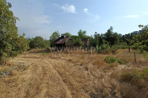 Terra a Nelas, Viseu, Nelas - € 190.000 | Ref: 389250173 - foto 27
