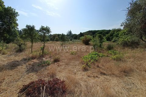 Terra a Nelas, Viseu, Nelas - € 190.000 | Ref: 389250173 - foto 28