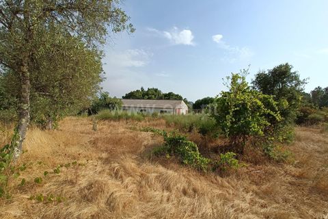 Terra a Nelas, Viseu, Nelas - € 190.000 | Ref: 389250173 - foto 30