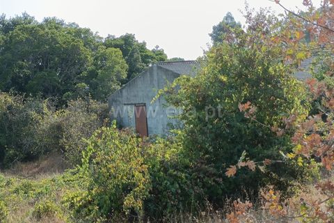 Terra a Nelas, Viseu, Nelas - € 190.000 | Ref: 389250173 - foto 31