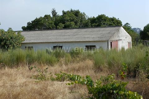 Terra a Nelas, Viseu, Nelas - € 190.000 | Ref: 389250173 - foto 32