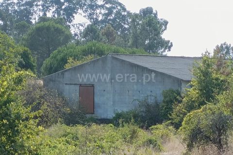 Terra a Nelas, Viseu, Nelas - € 190.000 | Ref: 389250173 - foto 33