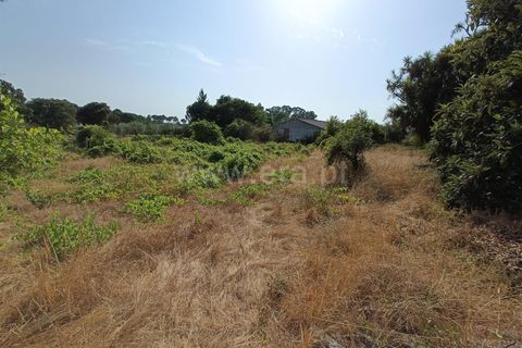 Terra a Nelas, Viseu, Nelas - € 190.000 | Ref: 389250173 - foto 34