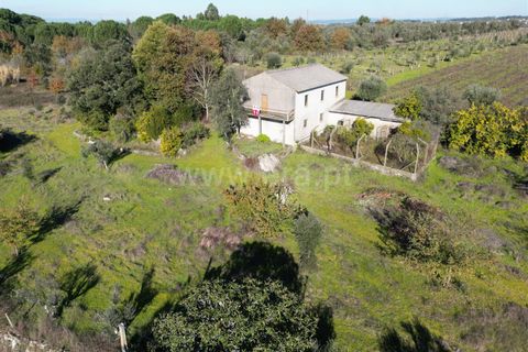 Terra a Nelas, Viseu, Nelas - € 190.000 | Ref: 389250173 - foto 35