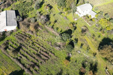 Terra a Nelas, Viseu, Nelas - € 190.000 | Ref: 389250173 - foto 36