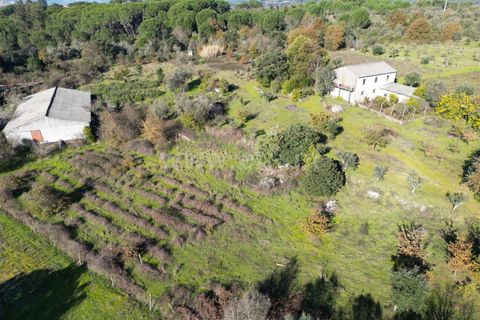 Terra a Nelas, Viseu, Nelas - € 190.000 | Ref: 389250173 - foto 37