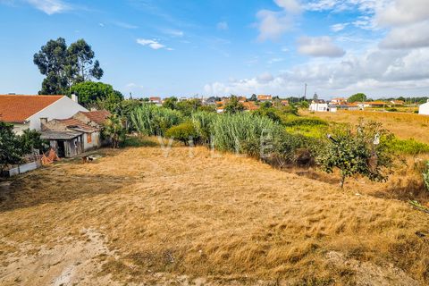 Helårsgrund i Aveiro, Aveiro, Aveiro - € 675.000 | Ref: AV2624 - foto 5
