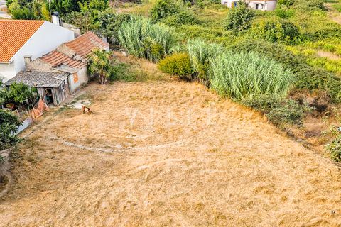 Helårsgrund i Aveiro, Aveiro, Aveiro - € 675.000 | Ref: AV2624 - foto 6