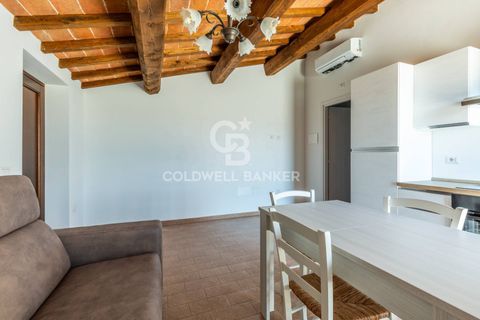 Landejendom i Collazzone, Perugia, Collazzone - € 245.000 | Ref: CBI134-2230-193 - foto 5