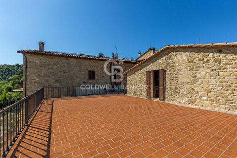 Landejendom i Collazzone, Perugia, Collazzone - € 245.000 | Ref: CBI134-2230-193 - foto 22