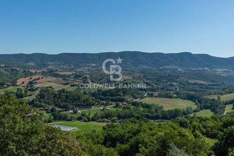 Landejendom i Collazzone, Perugia, Collazzone - € 245.000 | Ref: CBI134-2230-193 - foto 24