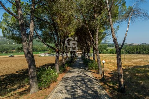Herregård i Todi, Perugia, Todi - € 890 000 | Ref: CBI134-1917-195 - foto 42