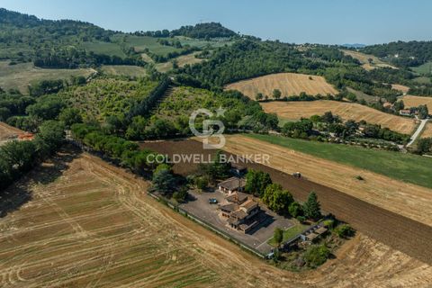 Herregård i Todi, Perugia, Todi - € 890 000 | Ref: CBI134-1917-195 - foto 47