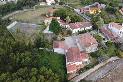 Farm i Caminha, Viana do Castelo, Caminha - € 1.600.000 | Ref: 1057 - foto 2