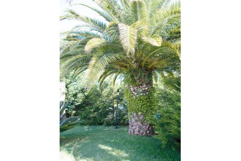 Farm i Caminha, Viana do Castelo, Caminha - € 1.600.000 | Ref: 1057 - foto 26
