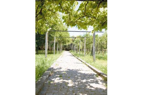 Farm i Caminha, Viana do Castelo, Caminha - € 1.600.000 | Ref: 1057 - foto 32