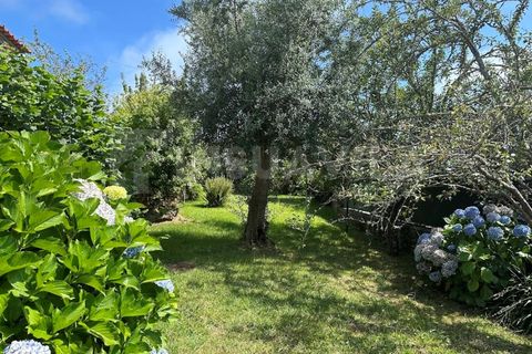 Farm i Caminha, Viana do Castelo, Caminha - € 1.600.000 | Ref: 1057 - foto 38