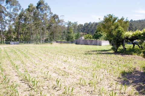 Farm i Caminha, Viana do Castelo, Caminha - € 1.600.000 | Ref: 1057 - foto 39