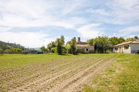Farm i Caminha, Viana do Castelo, Caminha - € 1.600.000 | Ref: 1057 - foto 40