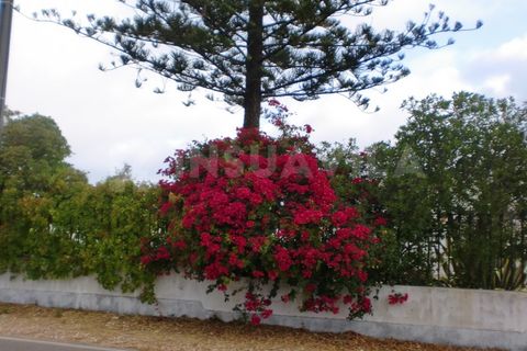 Farm i Caminha, Viana do Castelo, Caminha - € 1.600.000 | Ref: 1057 - foto 42
