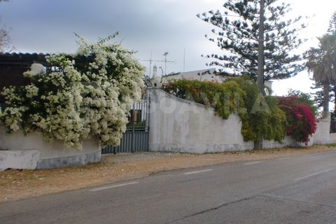 Farm i Caminha, Viana do Castelo, Caminha - € 1.600.000 | Ref: 1057 - foto 43