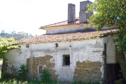 Farm i Caminha, Viana do Castelo, Caminha - € 1.600.000 | Ref: 1057 - foto 47
