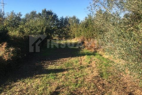 Helårsgrund i Valenca, Viana do Castelo, Valenca - € 40.000 | Ref: 2157 - foto 9