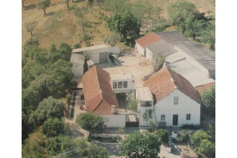 Villa i Olaia e Paco, Santarem, Olaia e Paco - € 165.000 | Ref: Mrd2480 - foto 2