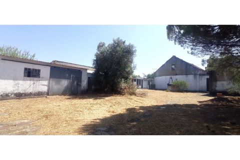 Villa i Olaia e Paco, Santarem, Olaia e Paco - € 165.000 | Ref: Mrd2480 - foto 11