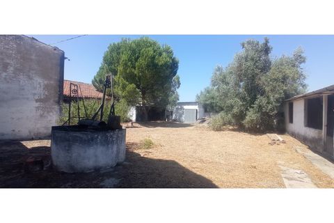 Villa i Olaia e Paco, Santarem, Olaia e Paco - € 165.000 | Ref: Mrd2480 - foto 13