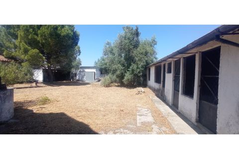 Villa i Olaia e Paco, Santarem, Olaia e Paco - € 165.000 | Ref: Mrd2480 - foto 16