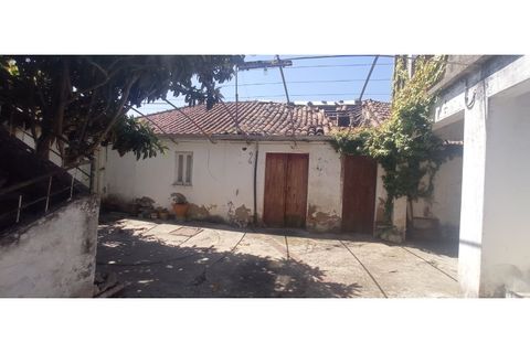 Villa i Olaia e Paco, Santarem, Olaia e Paco - € 165.000 | Ref: Mrd2480 - foto 19