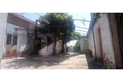 Villa i Olaia e Paco, Santarem, Olaia e Paco - € 165.000 | Ref: Mrd2480 - foto 22