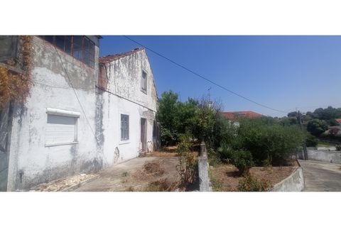 Villa i Olaia e Paco, Santarem, Olaia e Paco - € 165.000 | Ref: Mrd2480 - foto 23