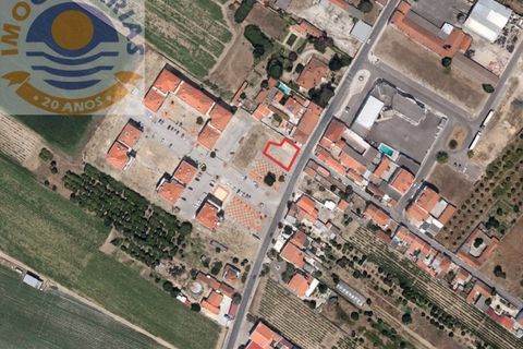 Helårsgrund i Alpiarca, Santarem, Alpiarca - € 145.000 | Ref: SÒL_770 - foto 2