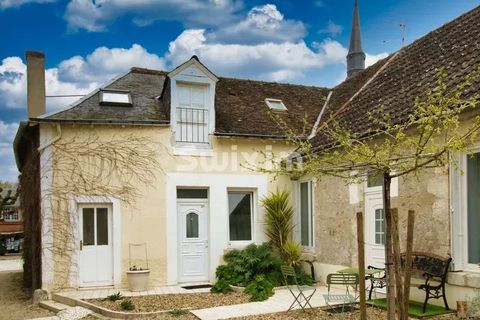 Erhvervsejendom i Cheverny, Loir-et-Cher, Cheverny - € 1.330.000 | Ref: 70004TV - foto 1