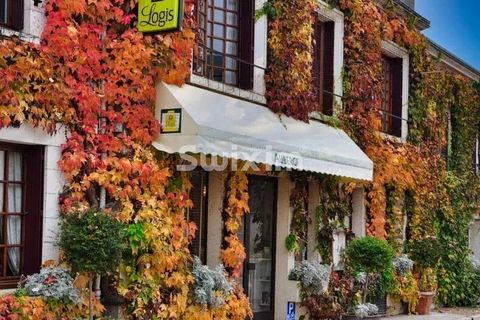 Erhvervsejendom i Cheverny, Loir-et-Cher, Cheverny - € 1.330.000 | Ref: 70004TV - foto 3