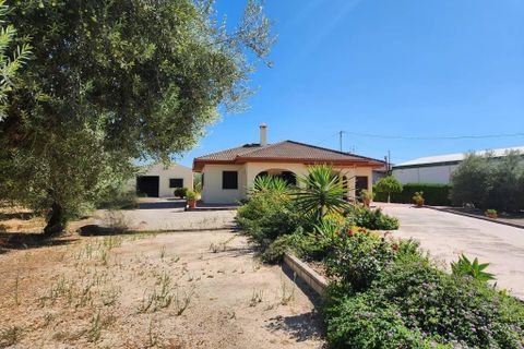 Villa a La Guijarrosa, Cordoba, La Guijarrosa - € 309.000 | Ref: AI-My Way - foto 17