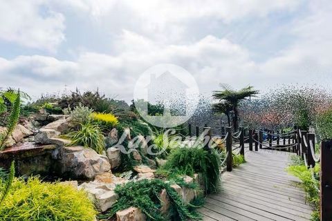Farm i Vila do Conde, Porto, Vila do Conde - € 2.500.000 | Ref: 240-Q-25899 - foto 28